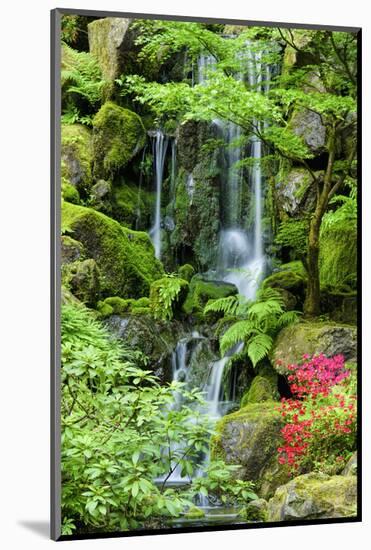 Schwartz - Heavenly Falls-Don Schwartz-Mounted Art Print