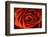 Schwartz - Inner Beauty-Don Schwartz-Framed Art Print