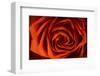 Schwartz - Inner Beauty-Don Schwartz-Framed Art Print