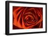 Schwartz - Inner Beauty-Don Schwartz-Framed Art Print