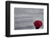 Schwartz - Little Red Umbrella-Don Schwartz-Framed Premium Giclee Print