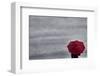 Schwartz - Little Red Umbrella-Don Schwartz-Framed Premium Giclee Print