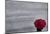 Schwartz - Little Red Umbrella-Don Schwartz-Mounted Premium Giclee Print