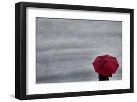 Schwartz - Little Red Umbrella-Don Schwartz-Framed Premium Giclee Print