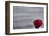 Schwartz - Little Red Umbrella-Don Schwartz-Framed Premium Giclee Print