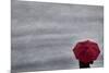 Schwartz - Little Red Umbrella-Don Schwartz-Mounted Premium Giclee Print