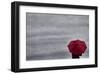 Schwartz - Little Red Umbrella-Don Schwartz-Framed Art Print