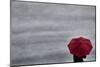 Schwartz - Little Red Umbrella-Don Schwartz-Mounted Art Print