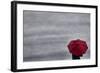 Schwartz - Little Red Umbrella-Don Schwartz-Framed Art Print