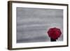 Schwartz - Little Red Umbrella-Don Schwartz-Framed Art Print