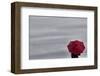 Schwartz - Little Red Umbrella-Don Schwartz-Framed Art Print