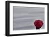 Schwartz - Little Red Umbrella-Don Schwartz-Framed Art Print