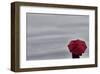 Schwartz - Little Red Umbrella-Don Schwartz-Framed Art Print