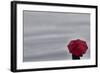 Schwartz - Little Red Umbrella-Don Schwartz-Framed Art Print