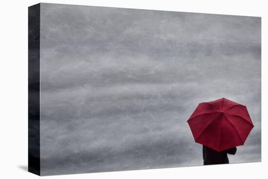 Schwartz - Little Red Umbrella-Don Schwartz-Stretched Canvas