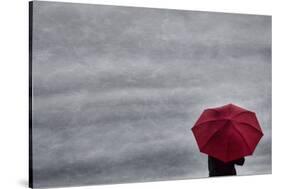 Schwartz - Little Red Umbrella-Don Schwartz-Stretched Canvas