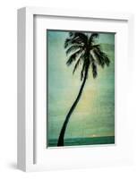 Schwartz - Lone Palm-Don Schwartz-Framed Art Print