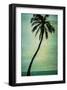 Schwartz - Lone Palm-Don Schwartz-Framed Art Print