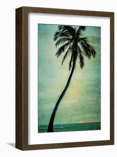 Schwartz - Lone Palm-Don Schwartz-Framed Art Print