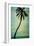 Schwartz - Lone Palm-Don Schwartz-Framed Art Print