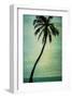 Schwartz - Lone Palm-Don Schwartz-Framed Art Print