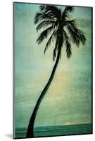 Schwartz - Lone Palm-Don Schwartz-Mounted Art Print