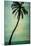 Schwartz - Lone Palm-Don Schwartz-Mounted Art Print