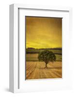 Schwartz - Lone Tree at Sunset-Don Schwartz-Framed Art Print