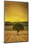 Schwartz - Lone Tree at Sunset-Don Schwartz-Mounted Art Print