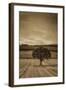 Schwartz - Lone Tree at Sunset-Don Schwartz-Framed Art Print