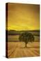 Schwartz - Lone Tree at Sunset-Don Schwartz-Stretched Canvas