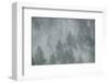 Schwartz - Misty Mood-Don Schwartz-Framed Art Print