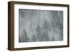 Schwartz - Misty Mood-Don Schwartz-Framed Art Print