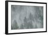 Schwartz - Misty Mood-Don Schwartz-Framed Art Print