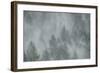 Schwartz - Misty Mood-Don Schwartz-Framed Art Print