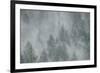 Schwartz - Misty Mood-Don Schwartz-Framed Art Print