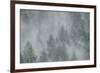 Schwartz - Misty Mood-Don Schwartz-Framed Art Print