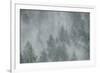 Schwartz - Misty Mood-Don Schwartz-Framed Art Print