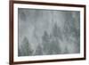 Schwartz - Misty Mood-Don Schwartz-Framed Art Print