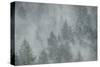 Schwartz - Misty Mood-Don Schwartz-Stretched Canvas