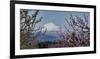 Schwartz - Mt. Adams in Spring-Don Schwartz-Framed Premium Giclee Print