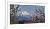 Schwartz - Mt. Adams in Spring-Don Schwartz-Framed Premium Giclee Print