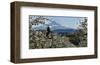 Schwartz - Pear Blossom Majesty-Don Schwartz-Framed Art Print