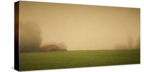 Schwartz - Red Barn in the Fog-Don Schwartz-Stretched Canvas