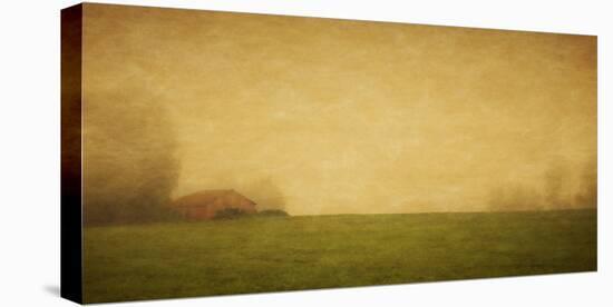 Schwartz - Red Barn in the Fog-Don Schwartz-Stretched Canvas
