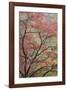 Schwartz - Red Zen-Don Schwartz-Framed Art Print