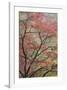 Schwartz - Red Zen-Don Schwartz-Framed Art Print