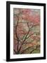 Schwartz - Red Zen-Don Schwartz-Framed Art Print