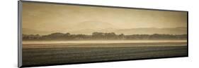 Schwartz - Sauvie Island Serenity-Don Schwartz-Mounted Premium Giclee Print