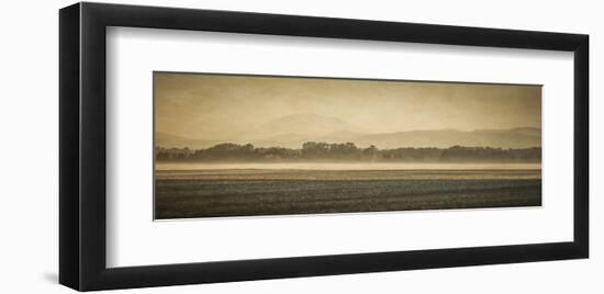 Schwartz - Sauvie Island Serenity-Don Schwartz-Framed Art Print